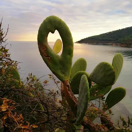 Perla Lejlighed Capoliveri (Isola d'Elba)