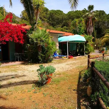 Perla Apartamento *