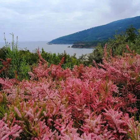 Appartamento Perla Capoliveri (Isola d'Elba)