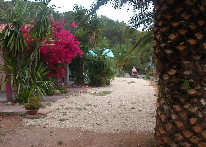 Lejlighed Perla Capoliveri (Isola d'Elba)