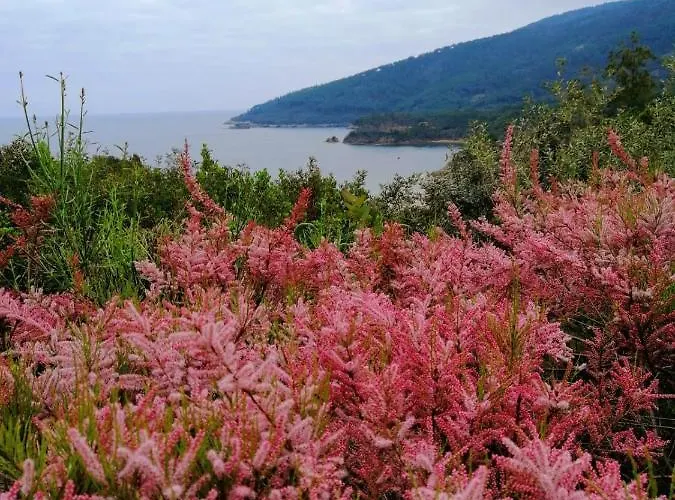 Lejlighed Perla Capoliveri (Isola d'Elba)