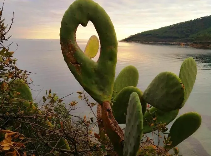 Perla Lejlighed Capoliveri (Isola d'Elba)